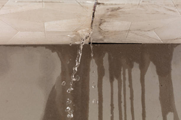 Professional Structural Drying technician working in Shady Spring, WV